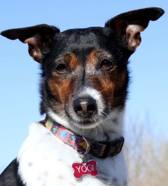 IMAGE: http://i17.photobucket.com/albums/b87/kbaywolf/IMG_7351_edited-2-2.jpg