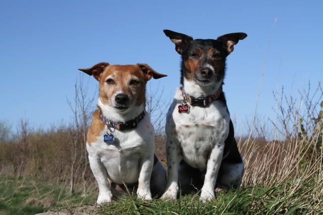 IMAGE: http://i17.photobucket.com/albums/b87/kbaywolf/IMG_7392.jpg