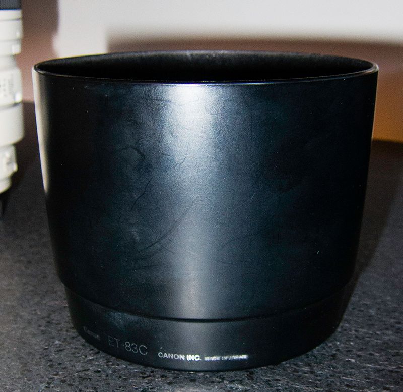 IMAGE: http://i17.photobucket.com/albums/b87/maxselma/Hood_zpsfdfzfy1j.jpg