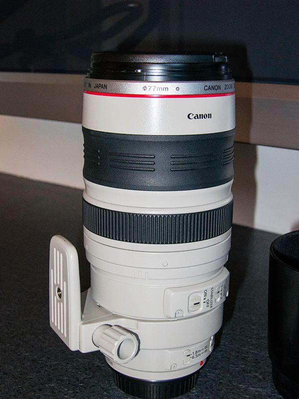 IMAGE: http://i17.photobucket.com/albums/b87/maxselma/Whole_zpsfbelvtre.jpg