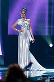 miss universe 2010 evening gown preliminary presentation philippines maria venus raj