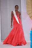 Miss World 2011 Top Model Fast Track Bermuda Jana Lynn Outerbridge