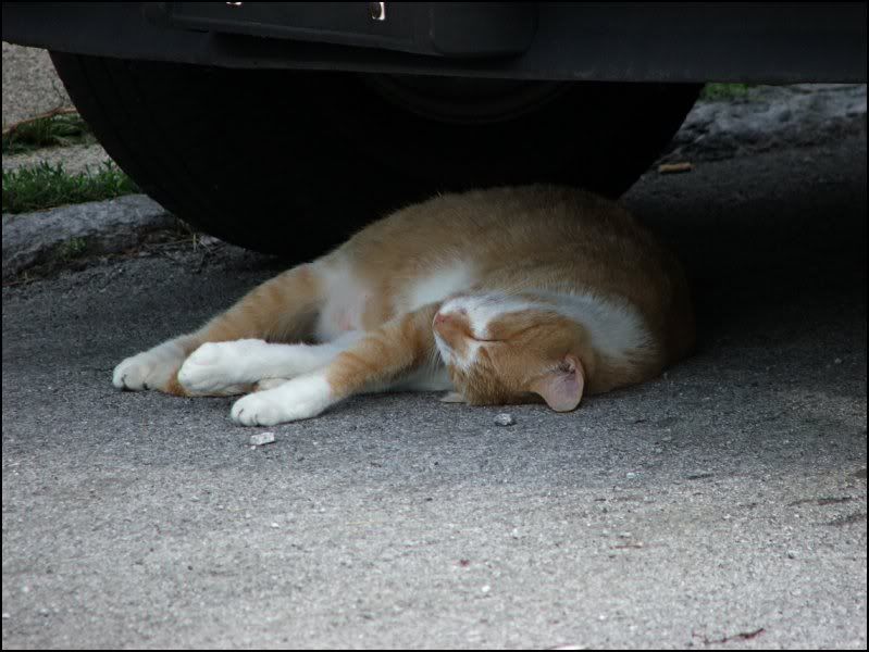 Image hosted by Photobucket.com