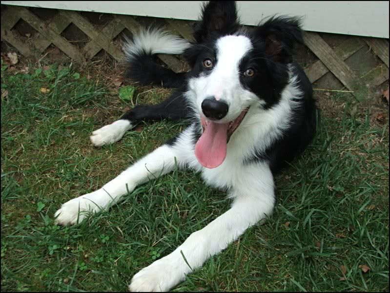 Image hosted by Photobucket.com