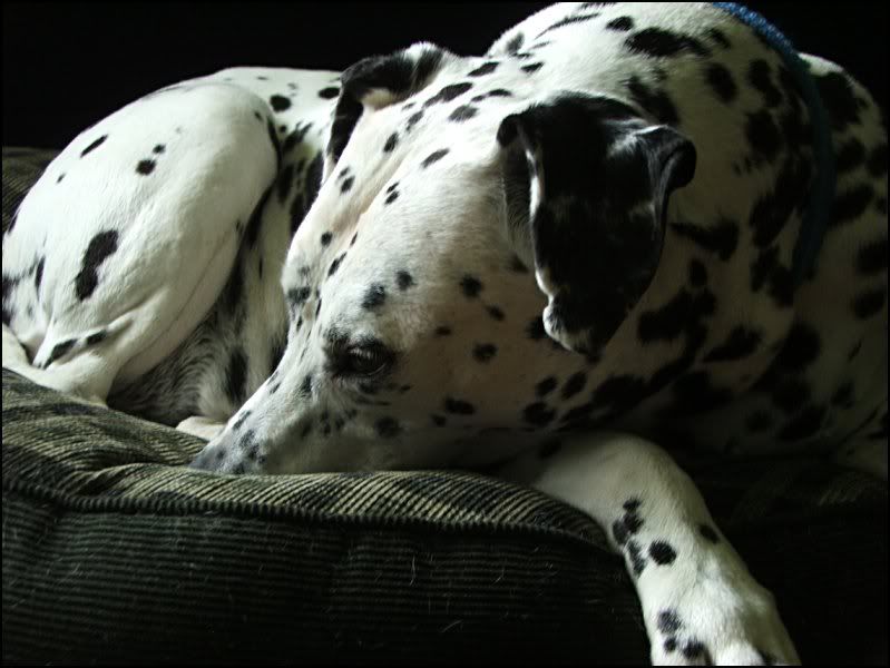 Image hosted by Photobucket.com