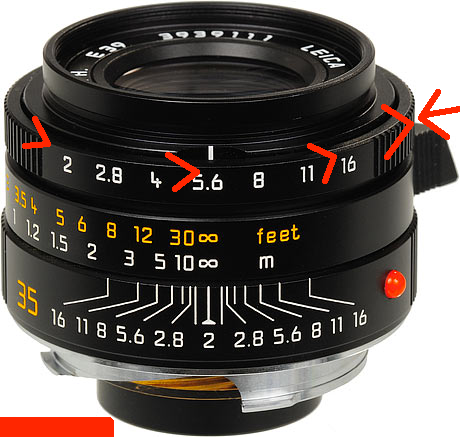 D3S_5635-460.png?t=1275015876