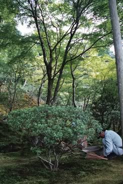 un dels nombrosos treballadors que arreglen els jardins de Kyoto