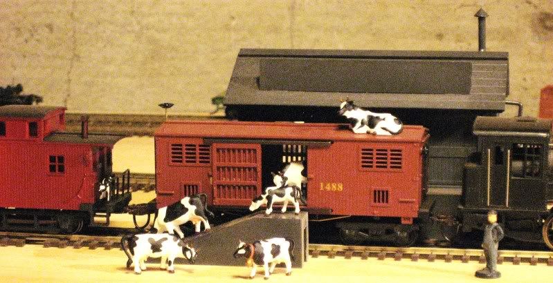 o scale cattle