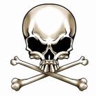 Obrázek “http://i17.photobucket.com/albums/b91/Actium/skull.jpg” nelze zobrazit, protože obsahuje chyby.