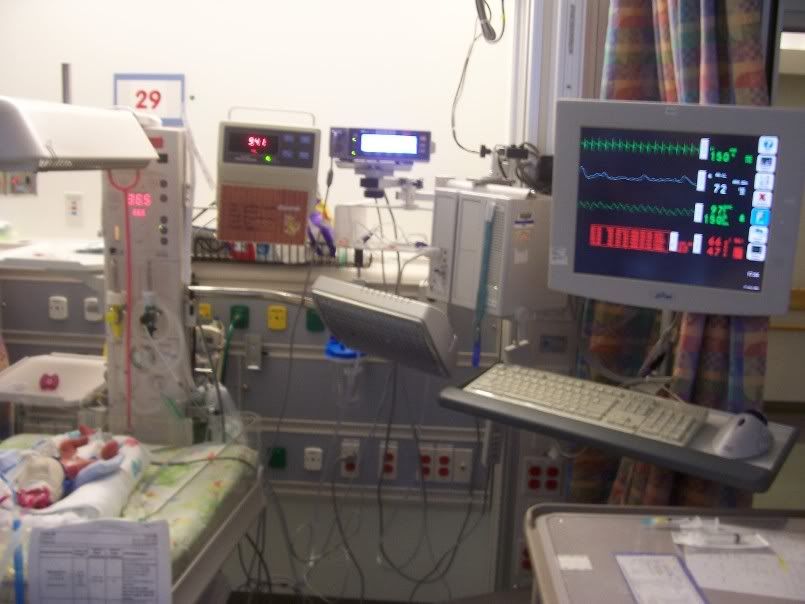 IMAGE: http://i17.photobucket.com/albums/b92/CammiNoelle/Copyof100_0669.jpg