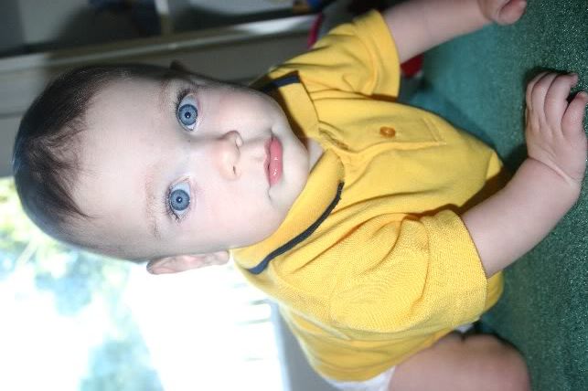 IMAGE: http://i17.photobucket.com/albums/b92/CammiNoelle/IMG_6231.jpg