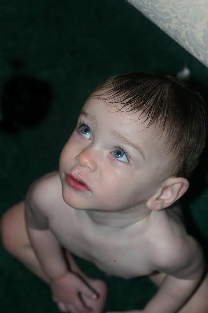 IMAGE: http://i17.photobucket.com/albums/b92/CammiNoelle/IMG_7137.jpg