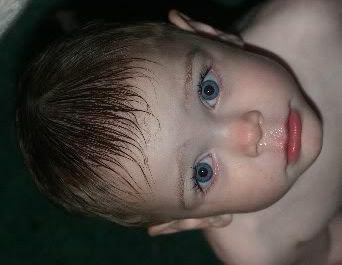 IMAGE: http://i17.photobucket.com/albums/b92/CammiNoelle/IMG_7138.jpg