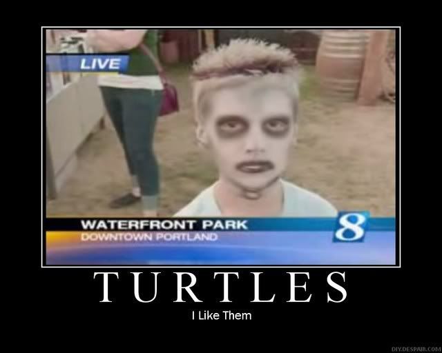 http://i17.photobucket.com/albums/b92/casterbate/turtles.jpg