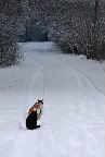 Фото блог