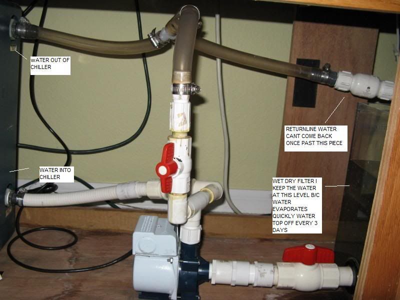 Overflowing Wet Dry Filter Reef Central Online Community