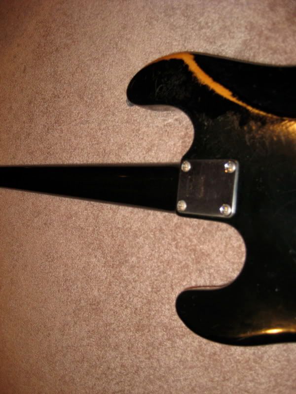 stingrayback.jpg