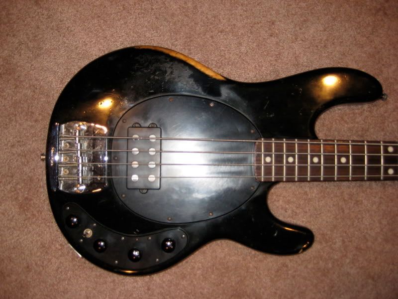 stingraybody.jpg