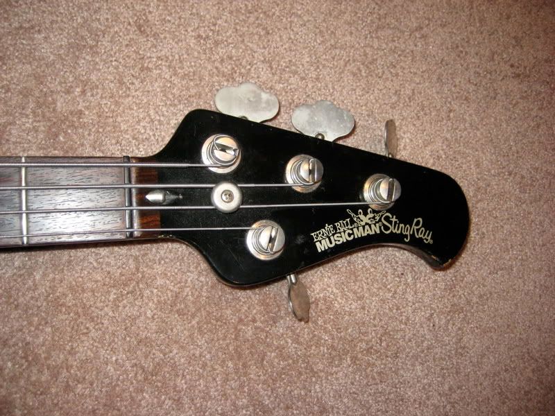 stingrayheadstock.jpg