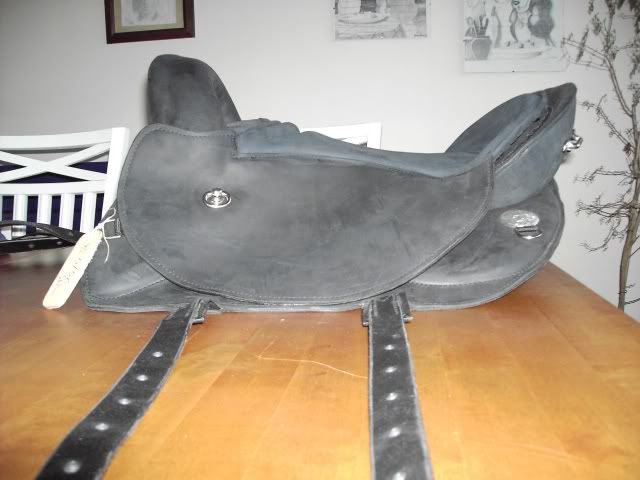 PICT0113.jpg