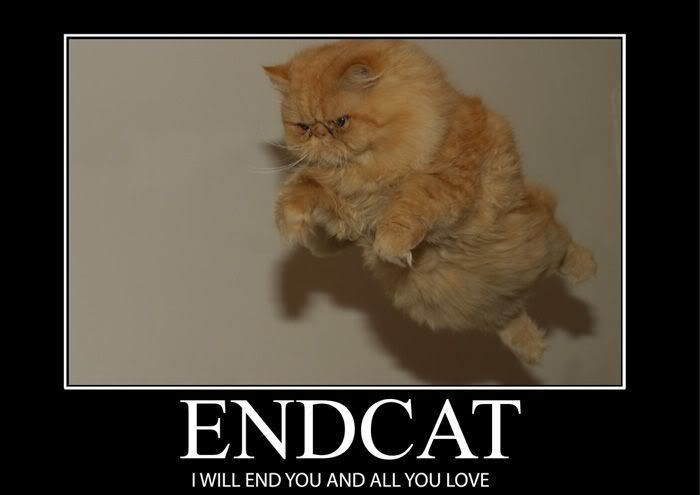 endcat.jpg