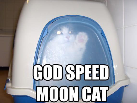 godspeedmooncatsm7.jpg