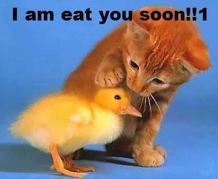 iameatyousoon.jpg