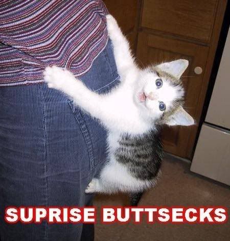 suprise.jpg