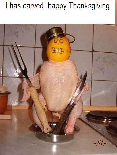 turkey Pictures, Images and Photos