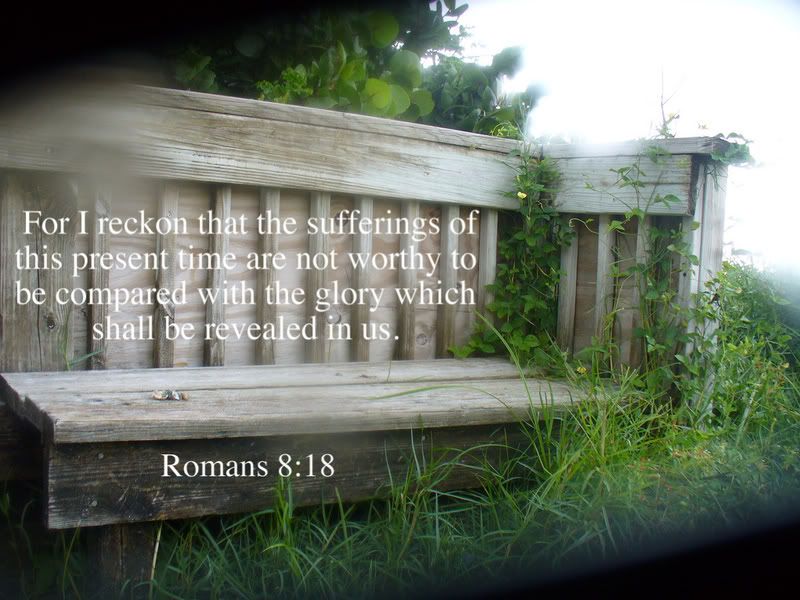 scripture Pictures, Images and Photos