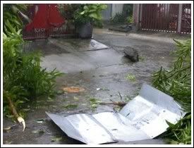During the typhoon