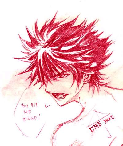 ikki-2.jpg