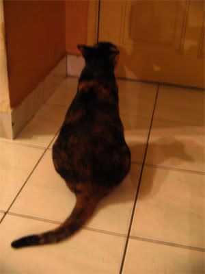 Image hosting by Photobucket