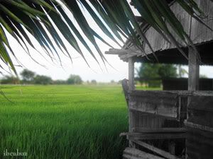 Image hosting by Photobucket