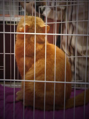 Image hosting by Photobucket