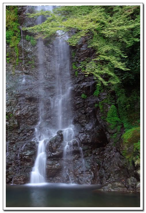 Image hosted by Photobucket.com