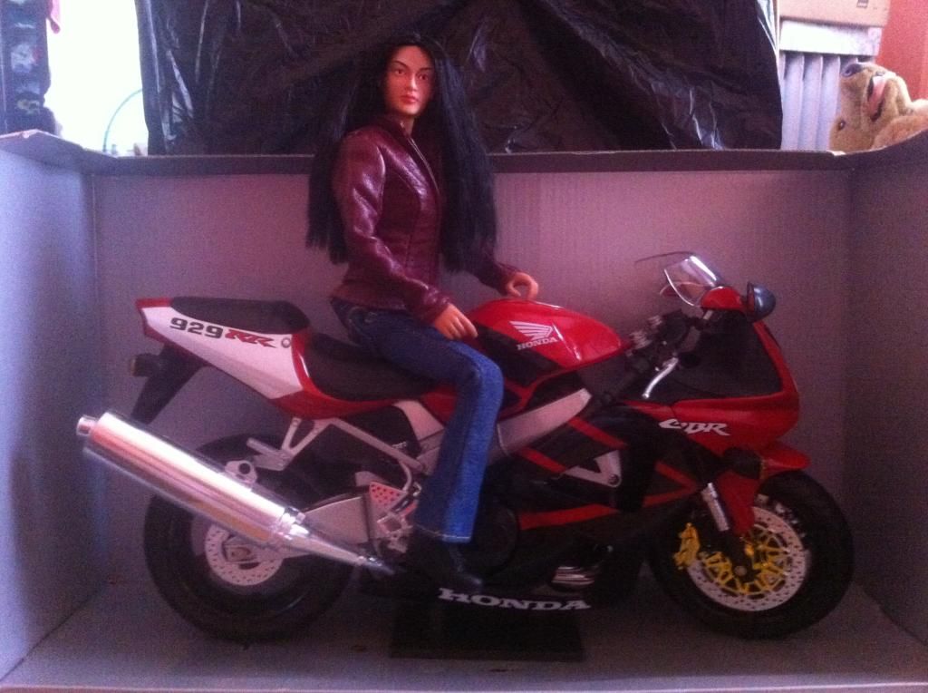 honda cbr girl