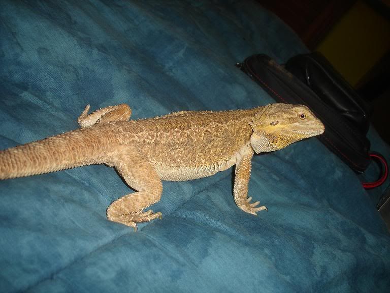 DSC01604.jpg