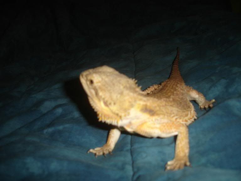 DSC01605.jpg