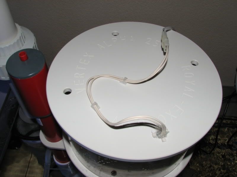 1cebcf19.jpg