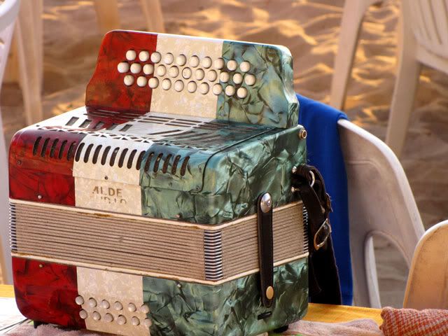 Mexican Accordian