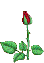  photo image004.gif
