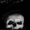 skull gif ok not great Pictures, Images and Photos
