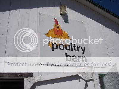 veritable smorgasbord fair poultry introduced barn excellent
