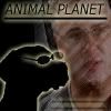 Image hosted by Photobucket.com
