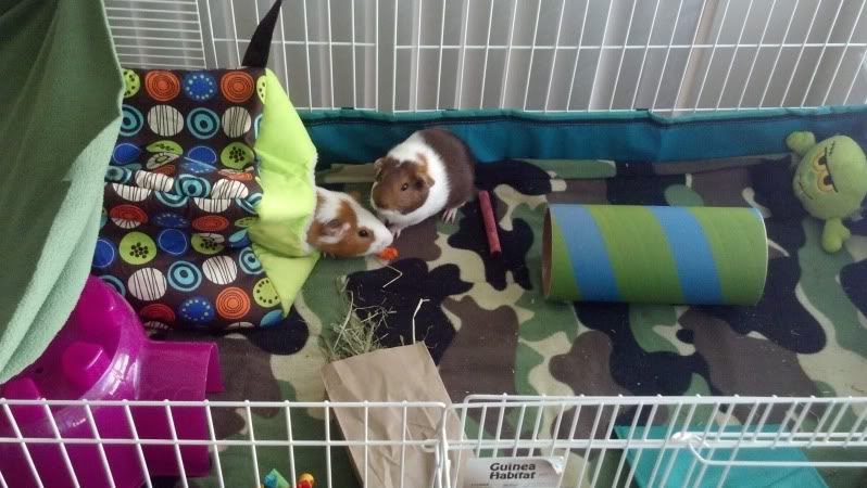 2012-09-12_10-13-23_210.jpg