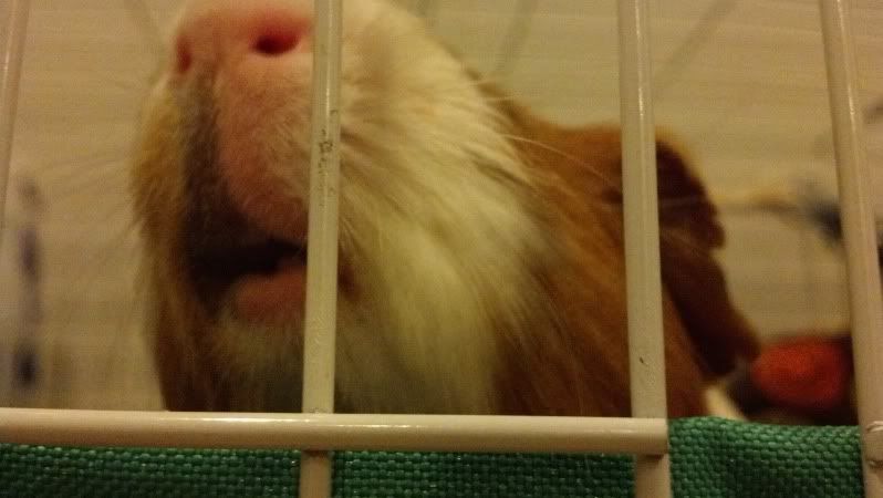 2012-09-28_19-55-25_24.jpg