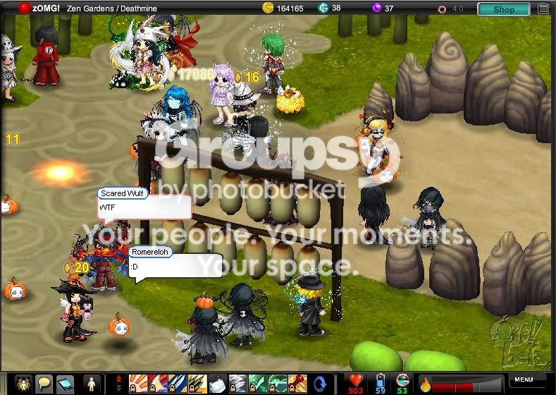 User Image