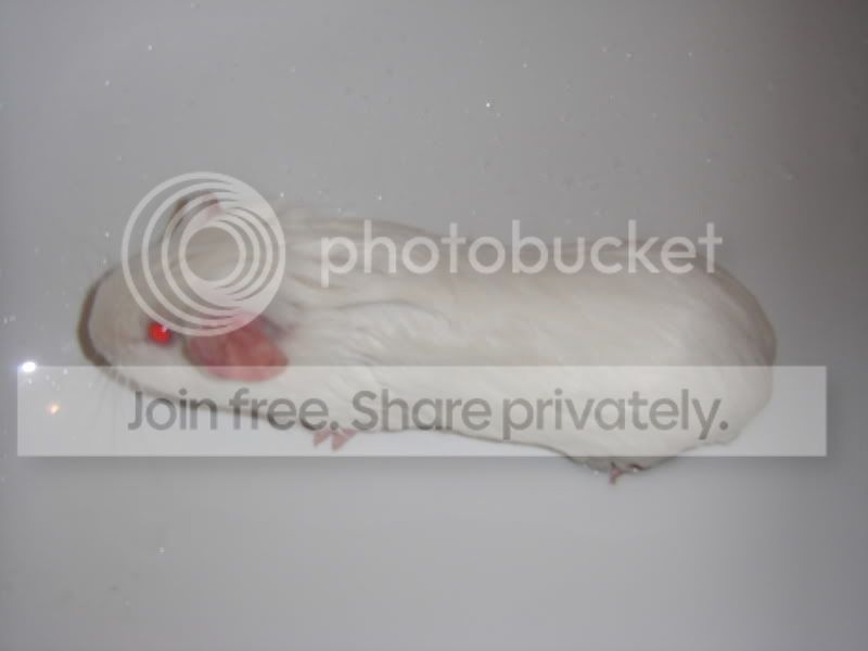 STH71402.jpg