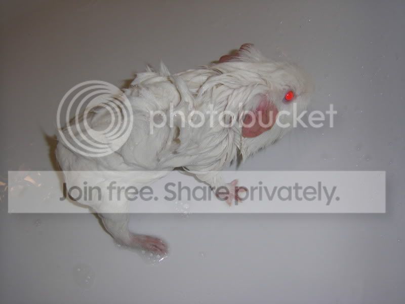 STH71403.jpg